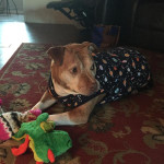 View Gallery Image #10