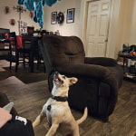 View Gallery Image #1