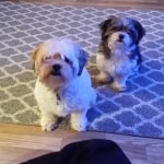 View Gallery Image #10