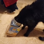 View Gallery Image #5