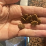 View Gallery Image #2