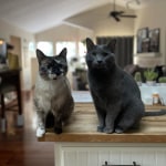 View Gallery Image #8