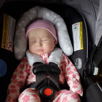 View Gallery Image #5