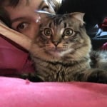 View Gallery Image #4