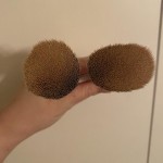 View Gallery Image #14