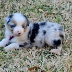 View Gallery Image #6