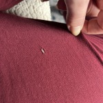 View Gallery Image #4