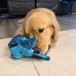 View Gallery Image #2