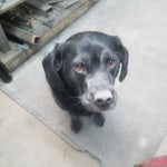 View Gallery Image #7