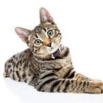 View Gallery Image #12