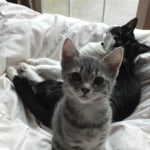 View Gallery Image #2