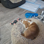 View Gallery Image #9