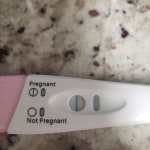 View Gallery Image #5