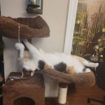 View Gallery Image #3