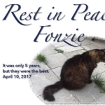 View Gallery Image #14