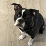 View Gallery Image #10