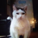 View Gallery Image #13