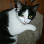 View Gallery Image #3