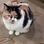 View Gallery Image #7