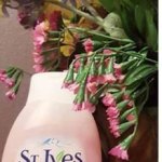 View Gallery Image #9