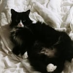 View Gallery Image #3