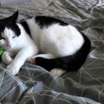 View Gallery Image #7