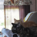 View Gallery Image #5