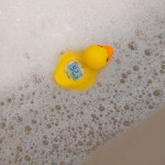 View Gallery Image #2