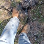 View Gallery Image #8