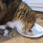 View Gallery Image #6