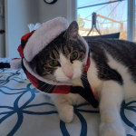 View Gallery Image #2