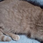 View Gallery Image #2