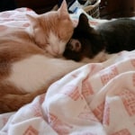 View Gallery Image #7