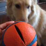 View Gallery Image #5