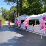 Balloon Arch Decorating Strip 50ft