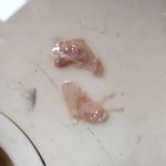 View Gallery Image #9