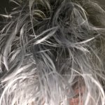 View Gallery Image #12