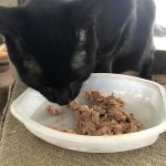 View Gallery Image #4