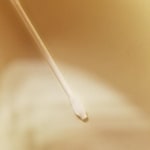 View Gallery Image #8