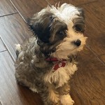 View Gallery Image #8