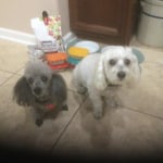 View Gallery Image #12