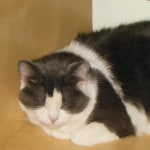 View Gallery Image #5