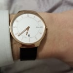Skagen skw6418 on sale