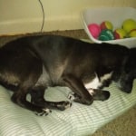 View Gallery Image #4