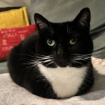 View Gallery Image #2