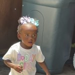 View Gallery Image #5