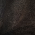 View Gallery Image #6