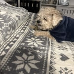 View Gallery Image #3