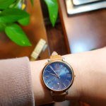 Es4377 fossil top
