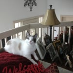 View Gallery Image #10